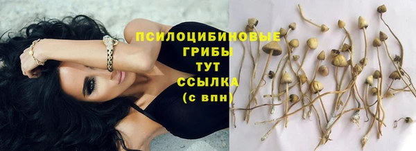 герыч Лагань
