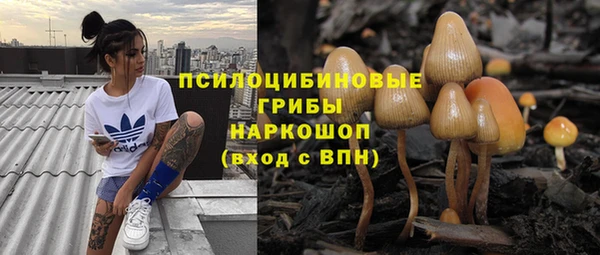 каннабис Лабытнанги