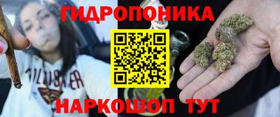 шишки Конаково