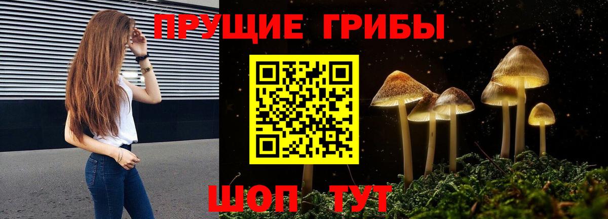 Псилоцибиновые грибы ЛСД  Вход с VPN  Мичуринск  Галлюциногенные грибы мицелий 